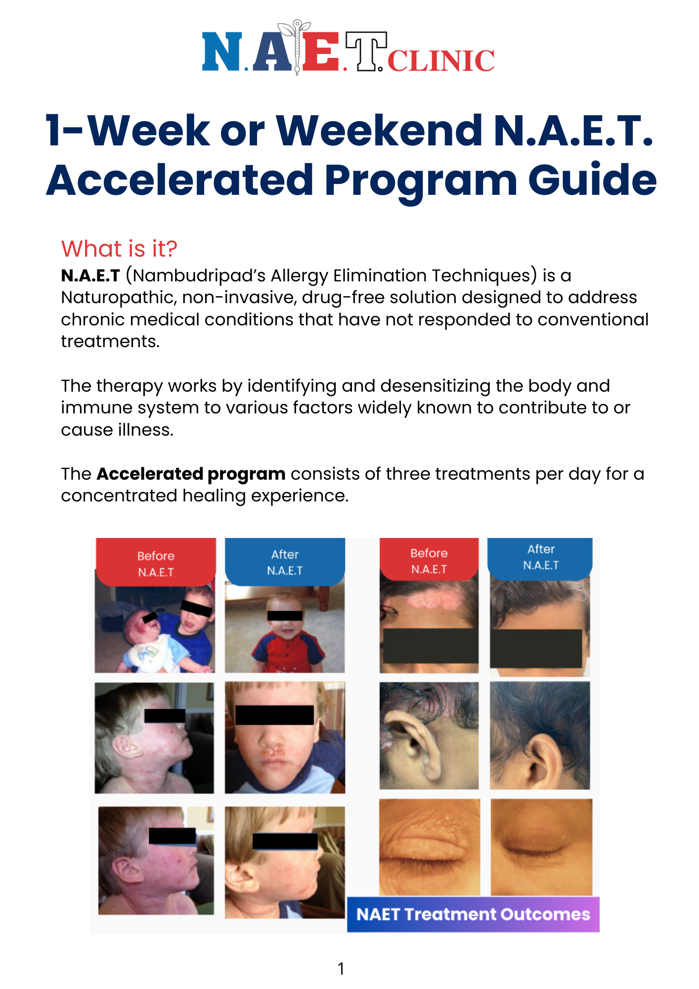 N.A.E.T. ACCELERAted program - cover