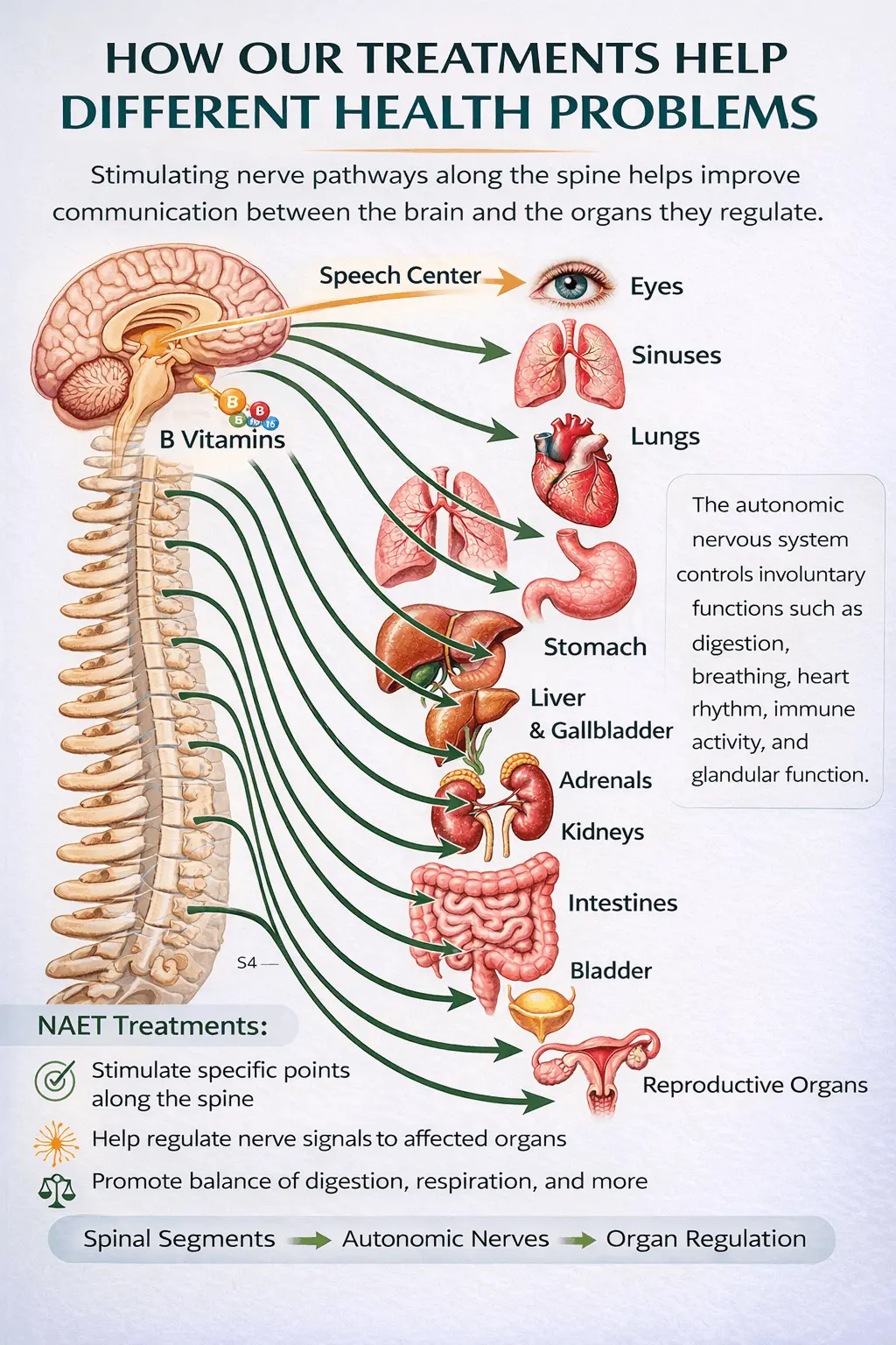 naet treatment for glutathione Nac+Glutathione Detoxification and Whitening 30 To 120 Capsules Dissecting resistance mechanisms to Agroathelia